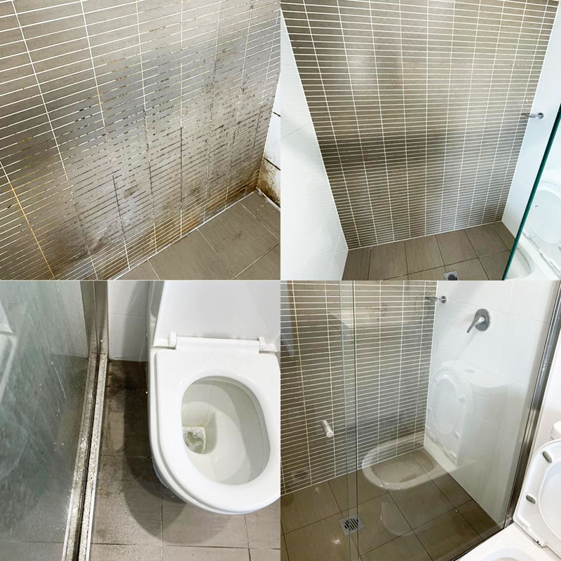 Before and After/ Toilet Bowl area and shower glass Cleaning